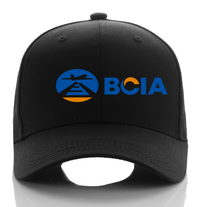 Thumbnail for BCIA AIRPORT