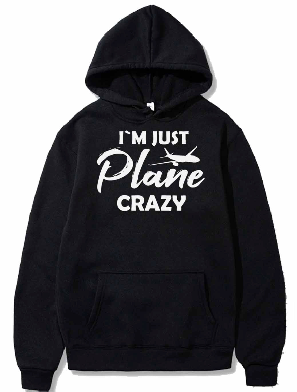 Funny Airplane Pilot Aircraft Aviation Jets PULLOVER THE AV8R